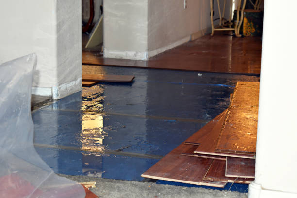 Professional Flood Cleanup technician working in Lincoln, RI